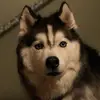 Donna Hertel - @donna.hertel1 - TikTok