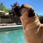 Donna Wilson Hertel - @realtordonnahertel - Instagram