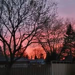 Donna Hesch - @donnahesch61 - Instagram
