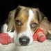 Donna Hett - Facebook