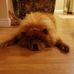 Donna Higbee - Facebook
