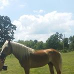 Donna Higdon - Facebook