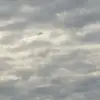 donnahighfill - @donnahighfill - TikTok
