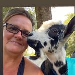 Donna Hildreth - @donna_hildreth - Instagram