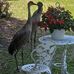 Donna Hiles - Facebook