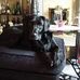 Donna Handley - Facebook