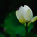 Donna Hintz - Facebook