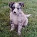 Donna Hintz - Facebook
