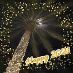 Donna Hintz - @donna.hintz - Instagram