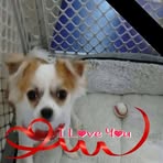 Donna Hipsher - Facebook