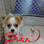 Donna Hipsher - Facebook