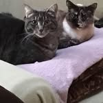 Donna Hite - @hite799 - Instagram