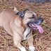 Donna Hocking - Facebook