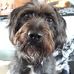 Donna Hocking - Facebook