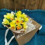 Donna Buchanan Hofer - @dbunny0731 - Instagram