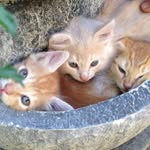 Donna Hoff - @donna.hoff.965 - Instagram