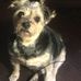 Donna Holstein - Facebook