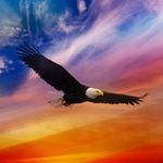 Donna Holstein - @djh6571232 - Instagram