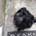 Donna Holton - @holton9633 - Instagram