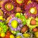 Donna Holton - Facebook