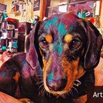Donna Holton - @donnaholton1963 - Instagram