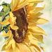 Donna Holton - Facebook