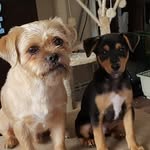 Donna White Hook - @donna270373 - Instagram