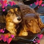 Donna House - @donna.house.718 - Instagram