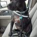 Donna House - Facebook
