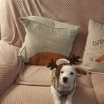 Donna Horsley - Facebook