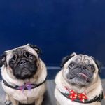 Donna Housley - @donnak50 - Instagram