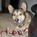 Deanna Howington - Facebook