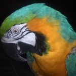 Donna Huggins - @donna.huggins.12327 - Instagram