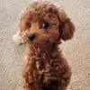 Donna Hurley - @d.hurley8 - TikTok