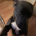 Donna Hurley - Facebook