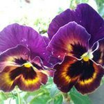 Donna Hurley Glenn - @donna.hurley62 - Instagram