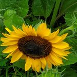 Donna Husted - @donna.husted - Instagram