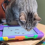 Donna Husted - @annod0613 - Instagram