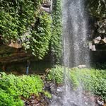 Donna Huthnance - @donnahuthnance - Instagram