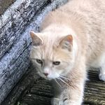 Donna Hutton - @donna1hutton - Instagram