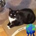 Donna Hutton - Facebook