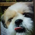 Donna Hutton - Facebook