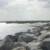 Donnie Hyche - @donnie.hyche - TikTok