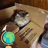 donnahylton6 - @donna.hylton24055 - TikTok