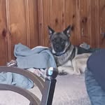 Donna Ickes - @donna.ickes.165 - Instagram
