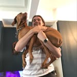 Donna Idle - @vizslajango - Instagram