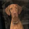 donnaidle1 - @donnaidle1 - TikTok