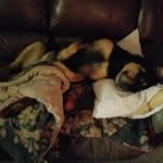 Donna Alligood - @donna_alligood - Instagram