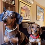 Igor & Donna - @igor_y_donna - Instagram