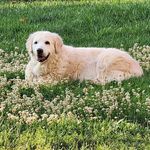 Donna Imhoff - @gypsey07 - Instagram